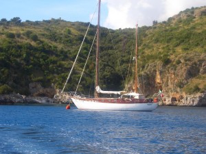 CIMG4966