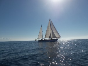 gall_escursioni3