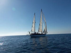 gall_escursioni4